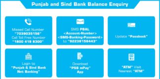 How to check Punjab and Sind Account Balance