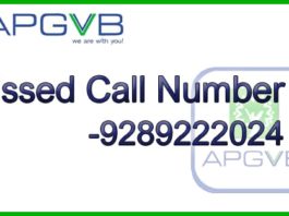 Andhra Pradesh Grameena Vikas Bank Missed Call Number