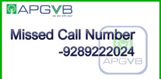Andhra Pradesh Grameena Vikas Bank Missed Call Number