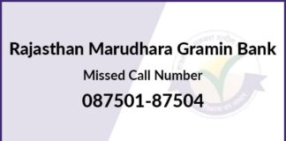 How to check RMGB account balance