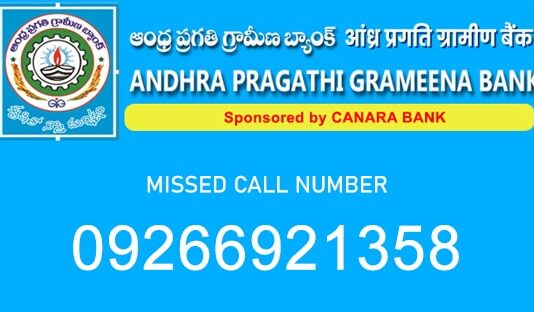 APGB account balance check number