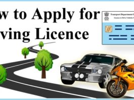 how to apply for Driving Licence