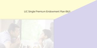 lic single premium plan 817