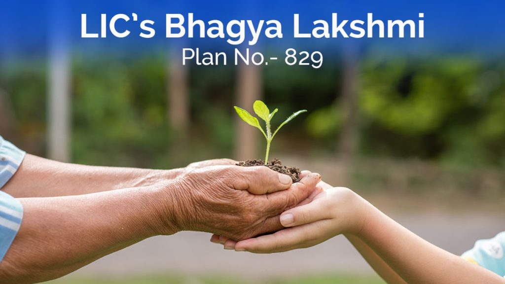lic bhagya lakshmi plan 829