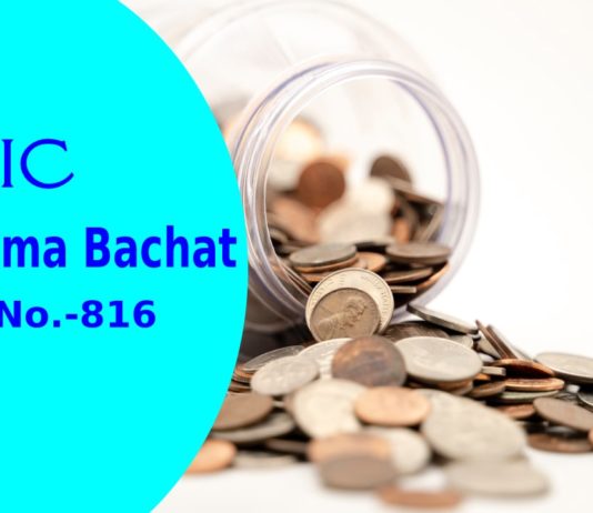 lic new bima bachat plan 816