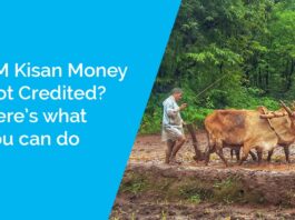 PM Kisan Money Not Credited Here’s what you can do