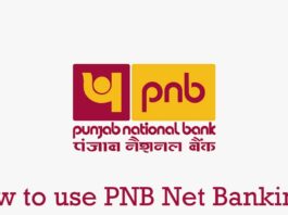 How to use PNB net Banking