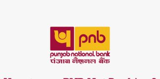 How to use PNB net Banking