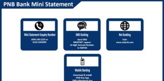 How to Get PNB Bank Mini Statement Mini statement Enquiry Number, Mobile Banking, Net banking