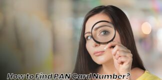How to Find PAN Card Number by DOB, Name on Official Site, etc.